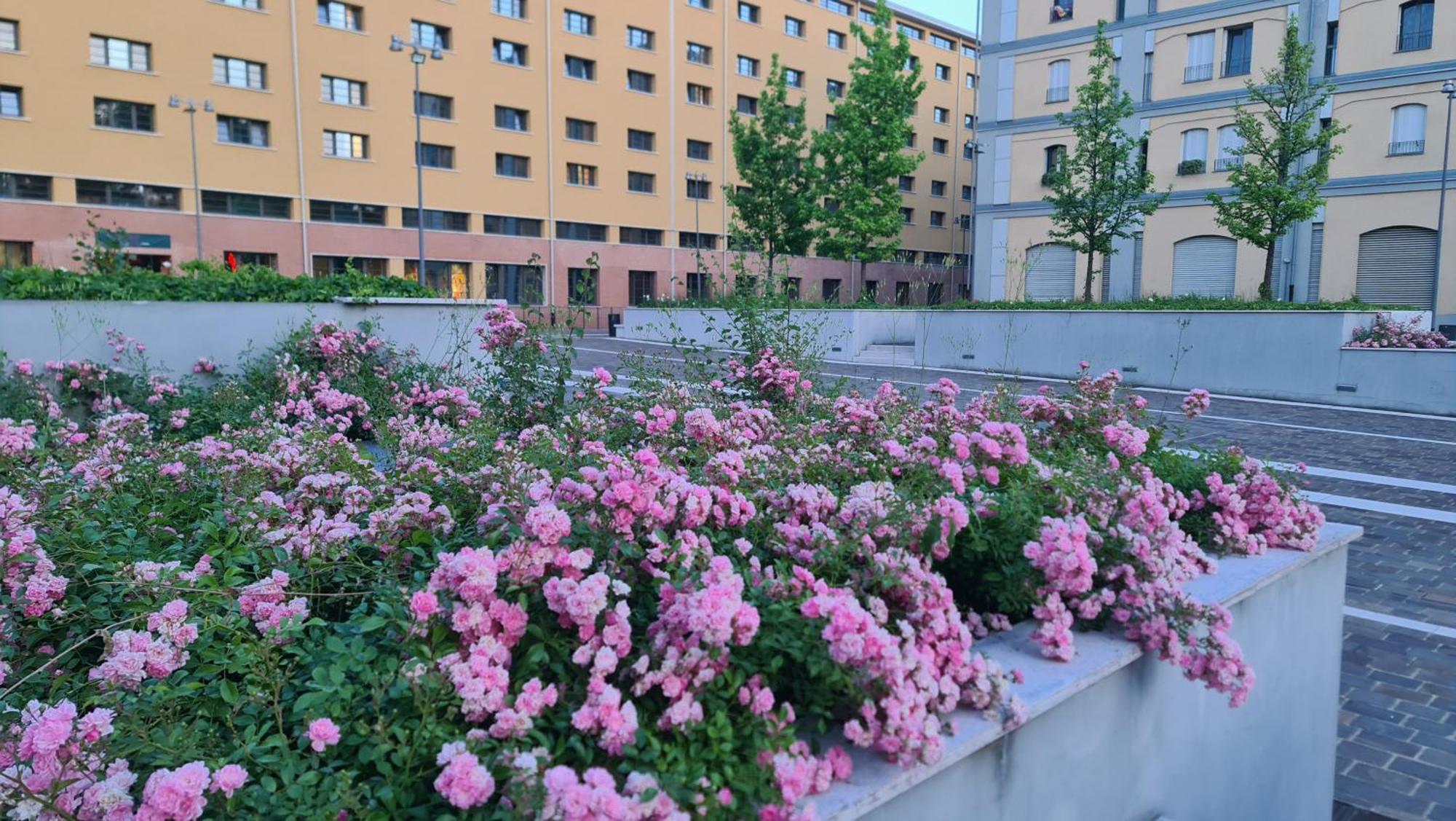 Milan Space Loft - Apartment Close To M5 Subway - Free Parking - Sky & Netflix Tv Екстер'єр фото